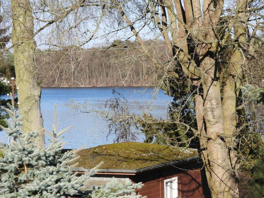 Dachwohnung Mit Wasserblick Und Eigenem Bootssteg Berlin Eksteriør billede