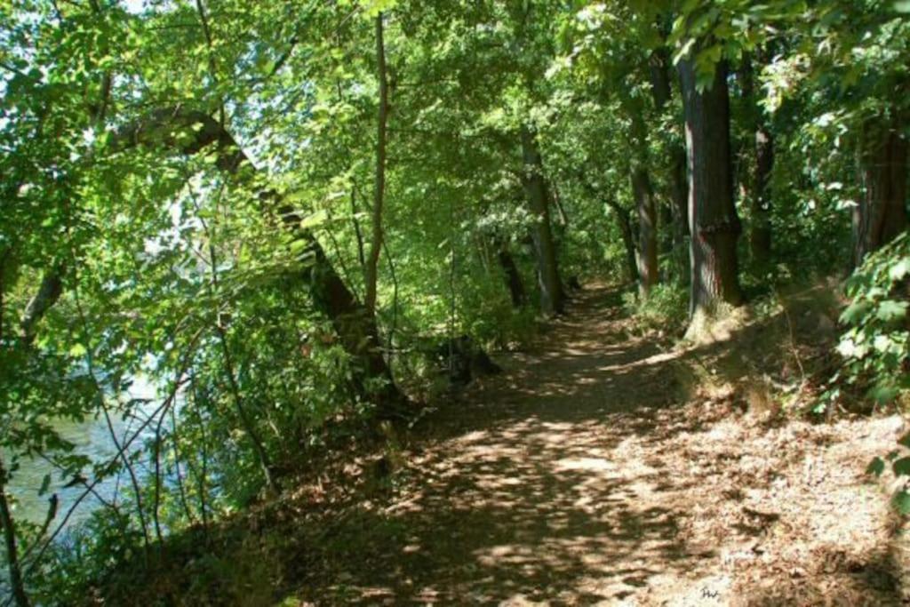 Dachwohnung Mit Wasserblick Und Eigenem Bootssteg Berlin Eksteriør billede